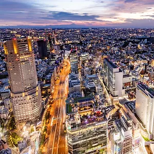 Отель Cerulean Tower Tokyu Hotel, A Pan Pacific Partner, Токио